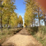 Day 11, Oct 9: San Nicolas to Carrion de los Condes, 21mi