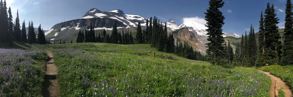 Mt Rainier