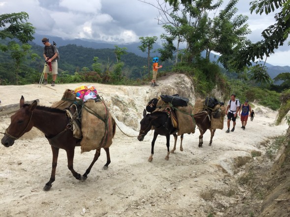 Mules carried all the food and supplies to the camps