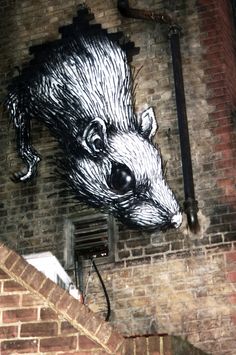 Rat graffitti