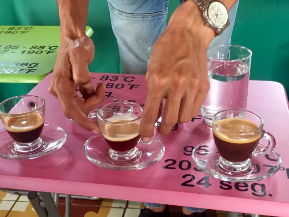 I've taken a couple coffee tours and both have been so informative. The guides are really knowledgeable and proud to share details of the very involved process of producing some of the world's highest quality coffee here in Colombia.