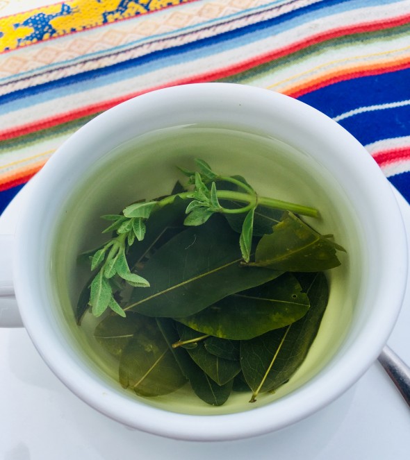 Upon arrival at our hotel on Isla del Sol, we were given tea made from coca leaves and a little sprig of mint.
