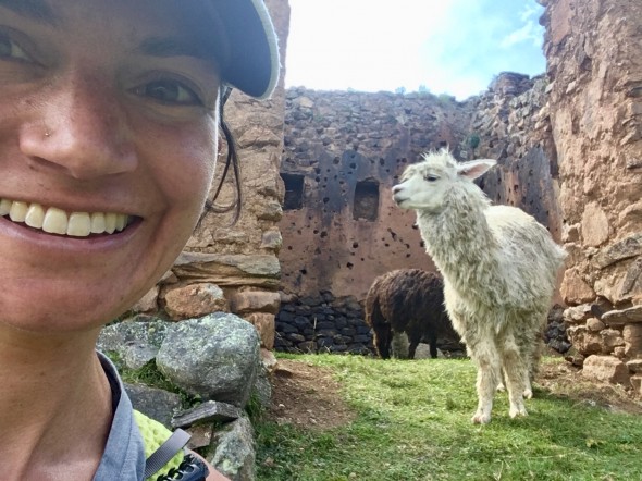 Who doesn’t love a llama?